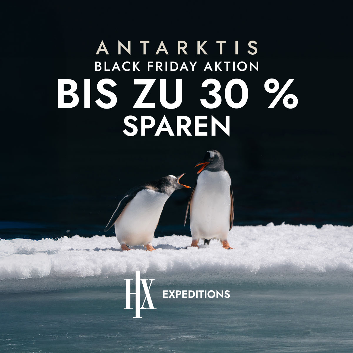 Miniaturbild, Pinguine Miniaturbild, Pinguine